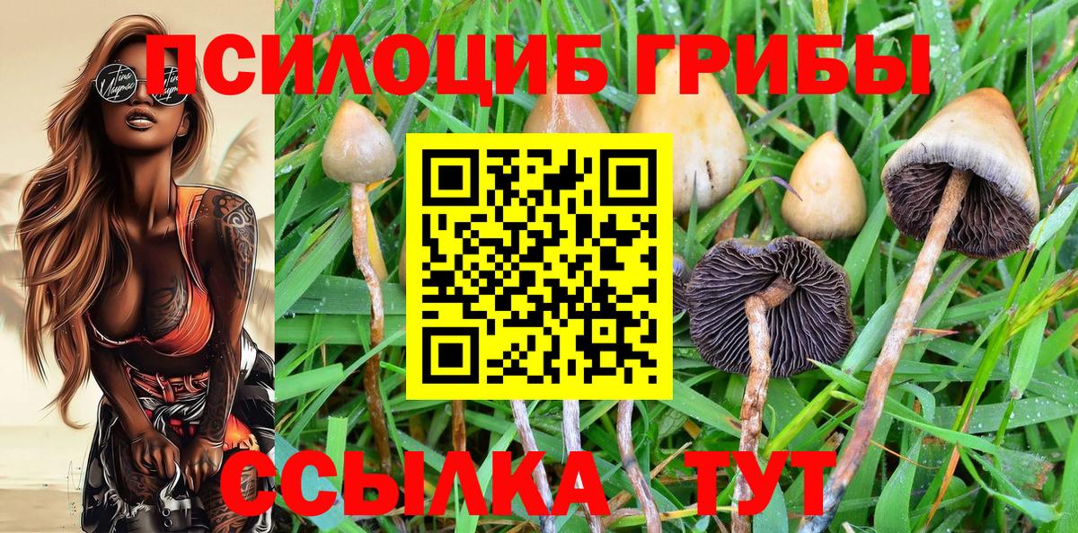 Вологда  Галлюциногенные грибы GOLDEN TEACHER  дарнет шоп  Вход с VPN 